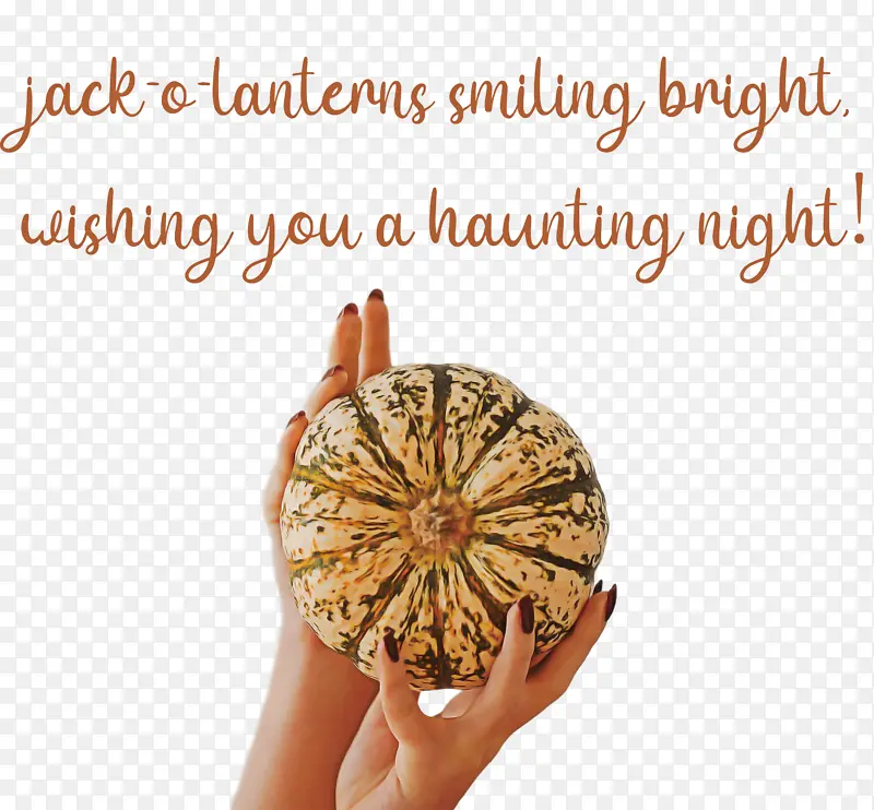 ��ʥ�ڿ��� ���� ��-������