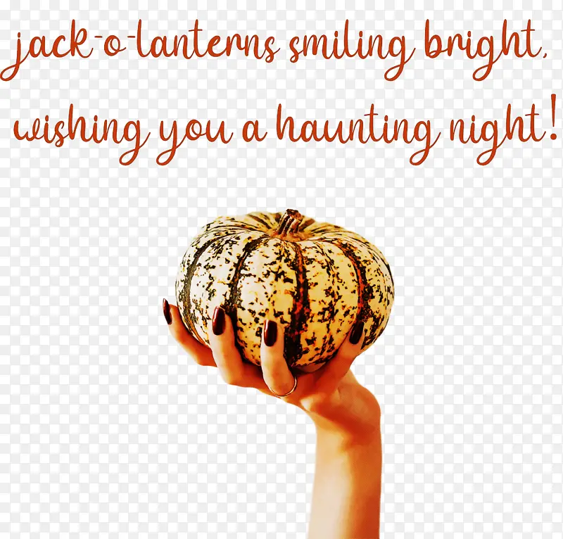 ��ʥ�ڿ��� �Ϲ� ��ɫ-������