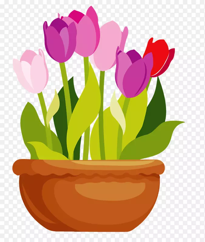 �����������ɫ��ƿ����-������