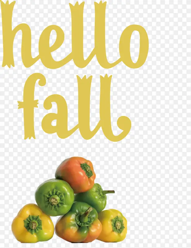 ��� ���� ���ı�-������