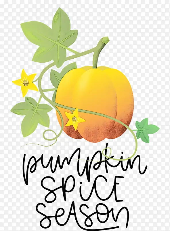 ���� �Ϲ� ˮ�ʻ�-������