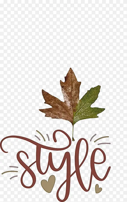 ��� ʱ�� �滭-������