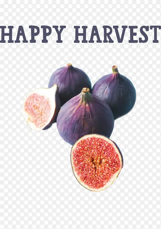 �����ջ� �ջ�ʱ�� ��Ȼʳ��-������