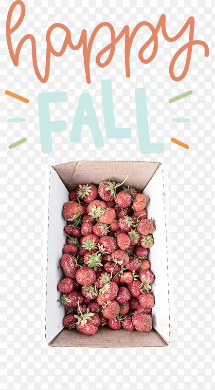 �������� �滭 ��������-������