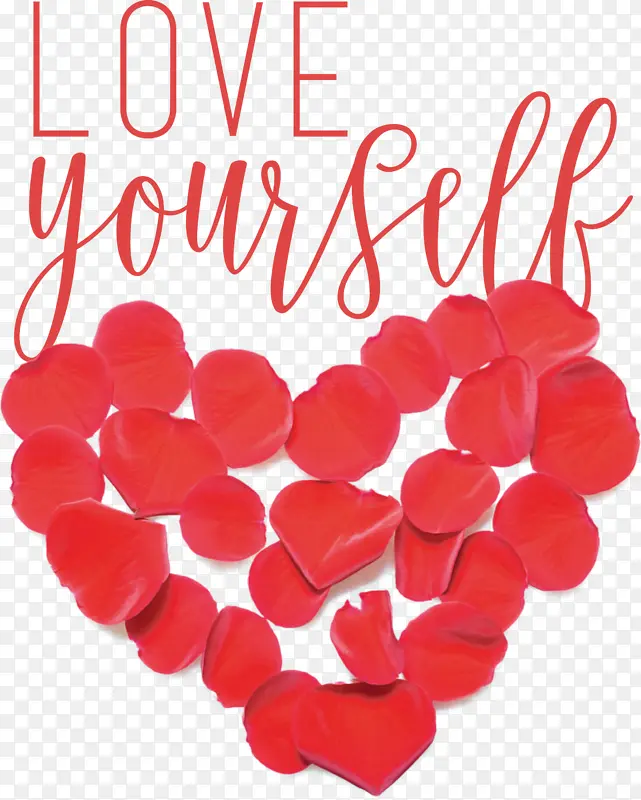 �����Լ� �� ���˽�-������