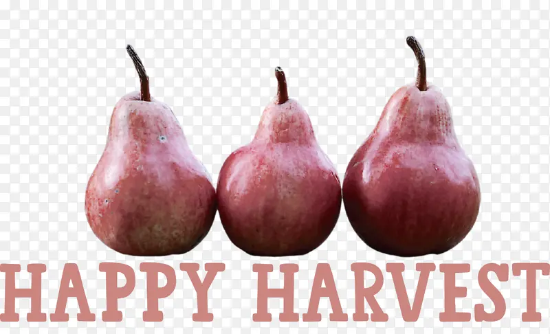 �ջ���� �ջ�ʱ����� �ջ��ʵ����-������