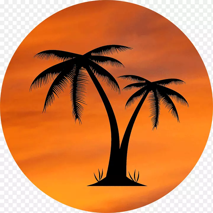 ���ƿƼ�����-������-������