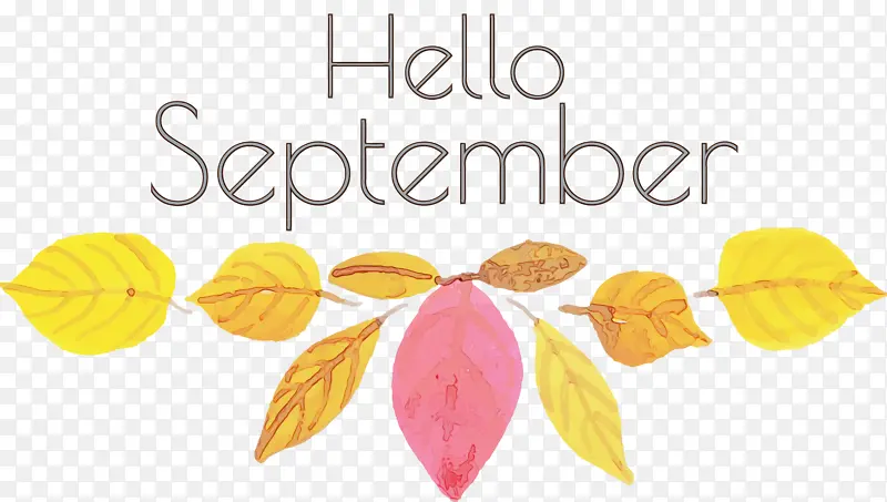 ��� ���� ˮ�ʻ�-������