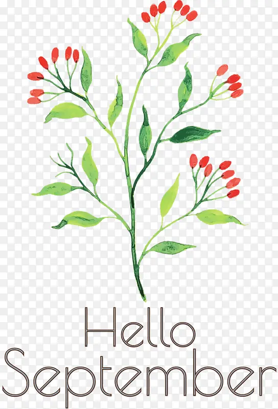 ��� ���� ˮ�ʻ�-������