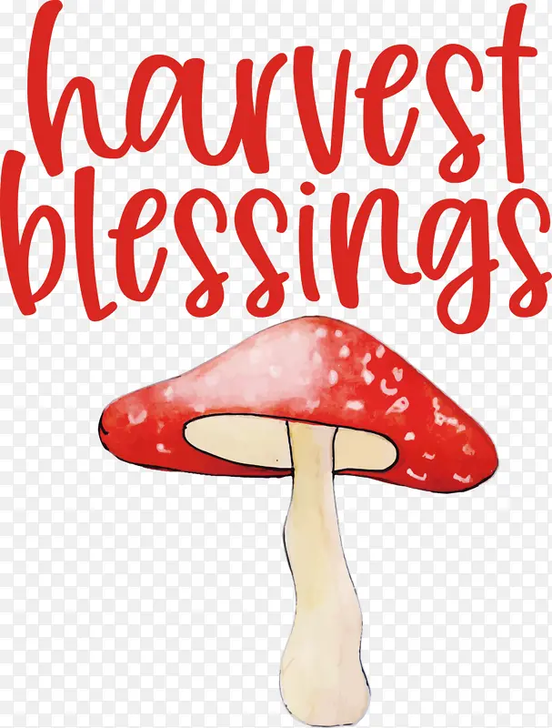 ��ʥ�ڿ��� ����-������