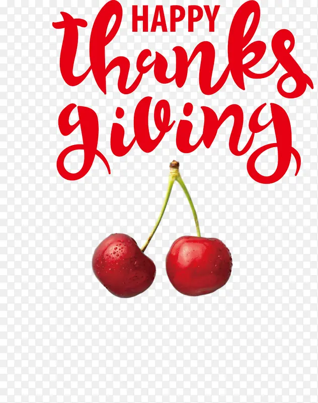 �ж��� ���� ��ȻʳƷ-������