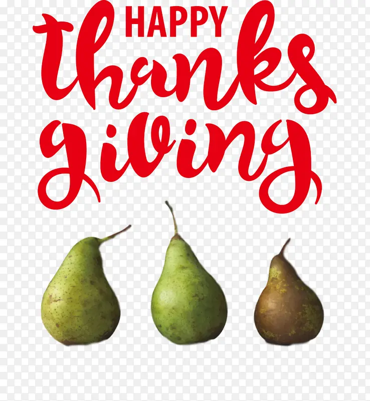 �ж��� ���� ��ȻʳƷ-������