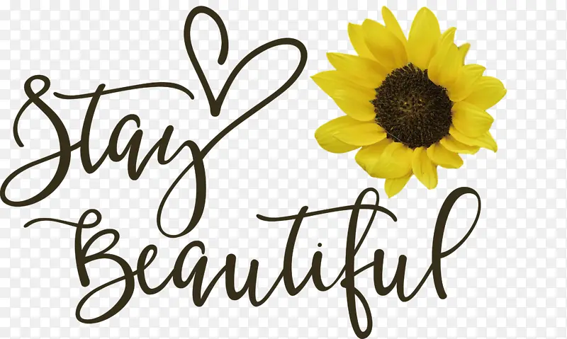 �������� ʱ�� ����-������