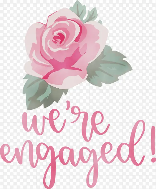 ���� ˮ�ʻ� ����-������