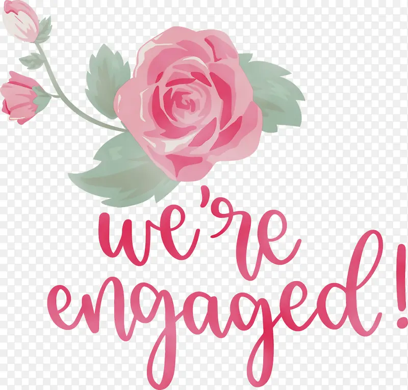 ���� ˮ�ʻ� ����-������