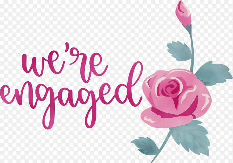 �� ˮ�ʻ� ����-������