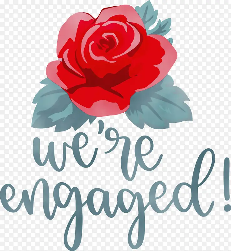 ���� ˮ�ʻ� ����-������