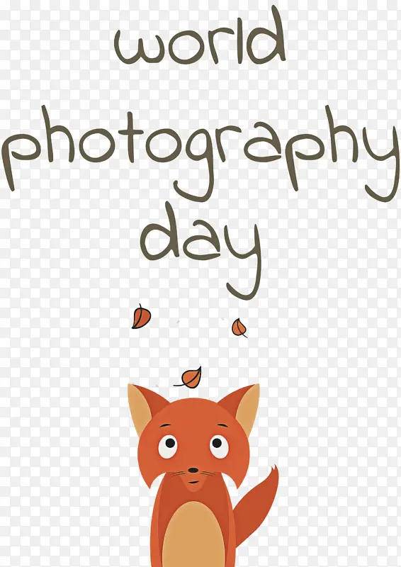 ������Ӱ�� �� ����-������