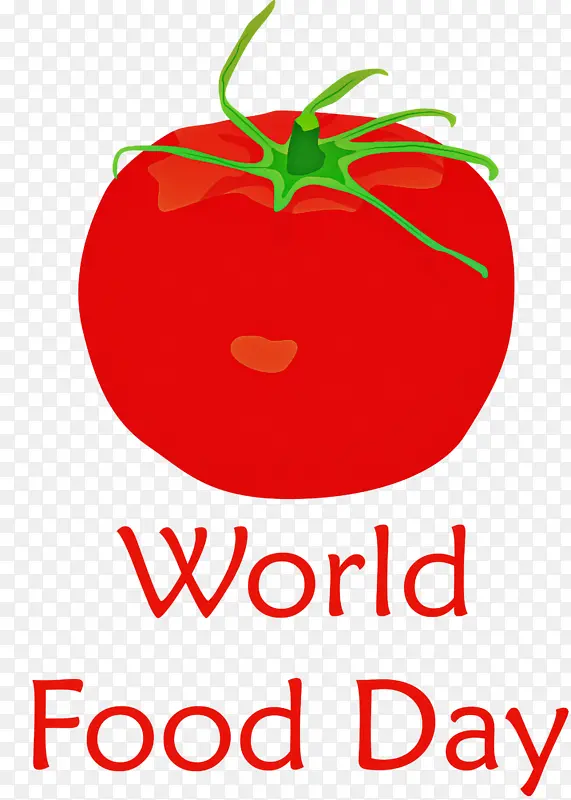 ������ʳ�� ���� ��ȻʳƷ-������