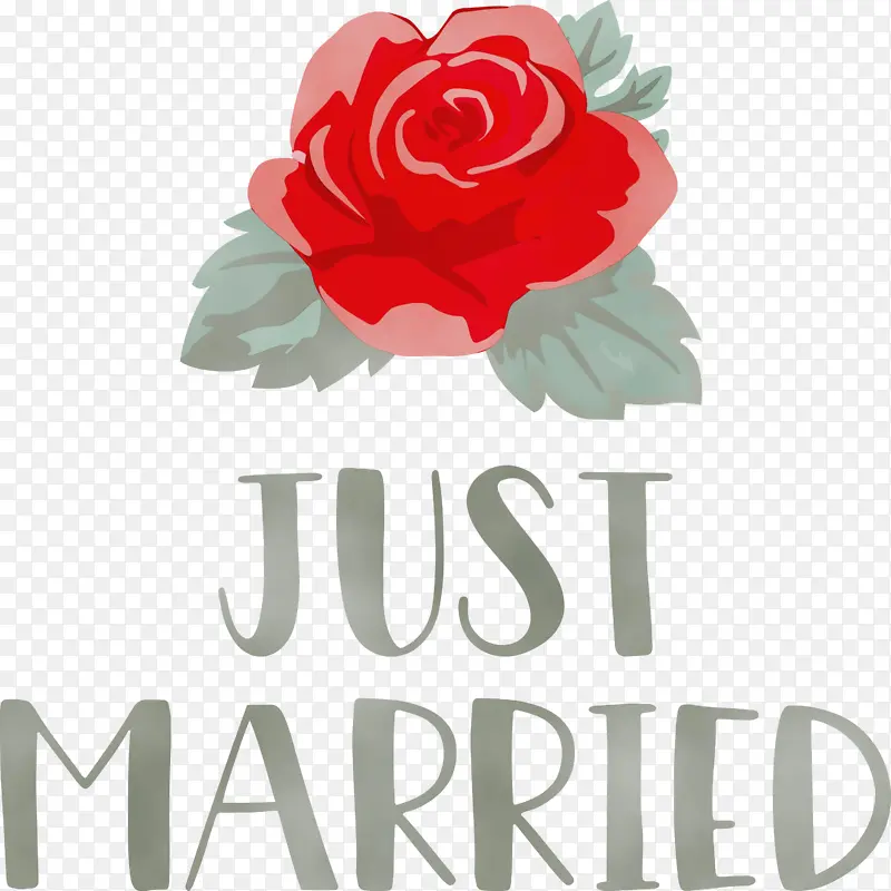 �ոս�� ���� ˮ�ʻ�-������