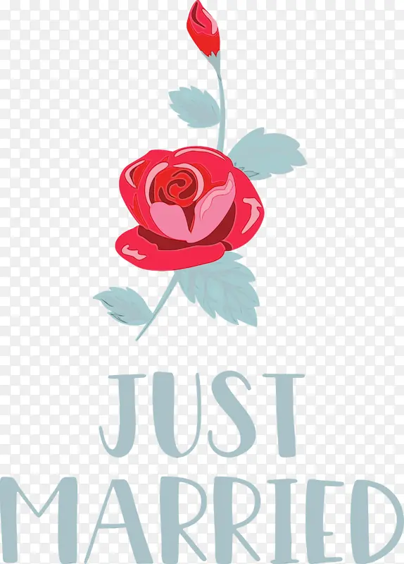 �ոս�� ���� ˮ�ʻ�-������