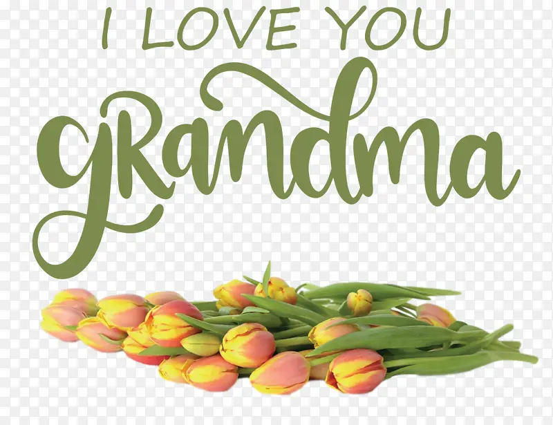 ��ĸ�� ��ĸ ��ȻʳƷ-������