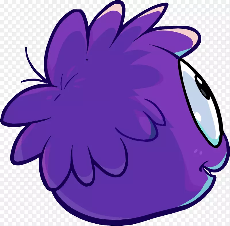 ���ֲ���첩��С��������-˼��-������