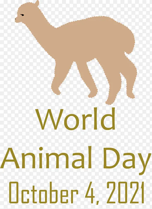 ���綯���� ������ ��-������