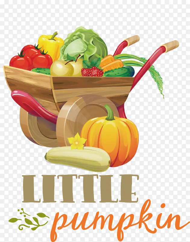 С�Ϲ� �ж��� ����-������