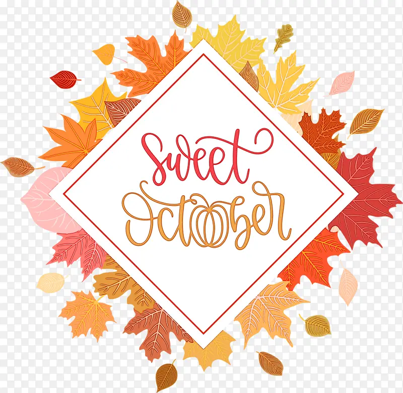 ʮ�� ���� ˮ�ʻ�-������