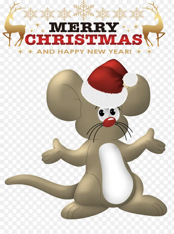 ʥ������ ������� ��ͨ-������