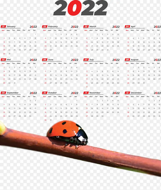 �칫��Ʒ ����ϵͳ �칫��-������