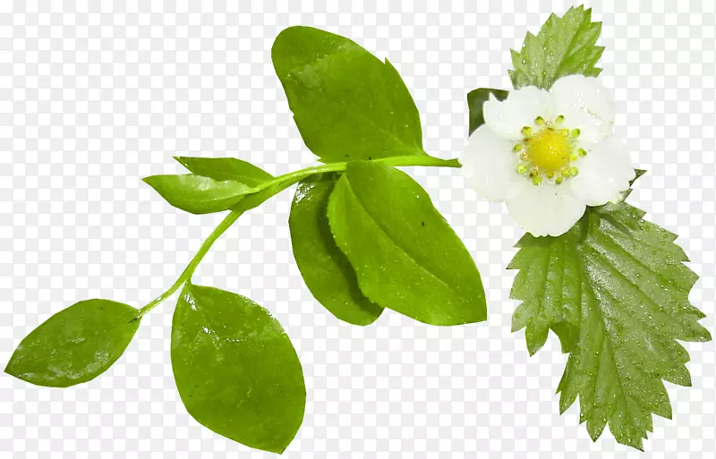 ���ܼ�����-������-������