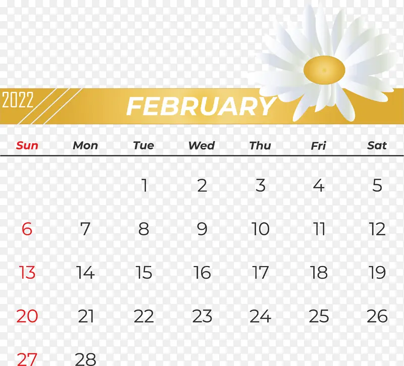 ���� ���� ��ɫ-������