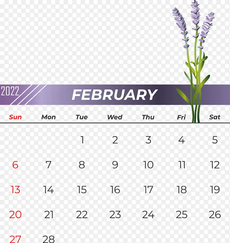 ���� �� ��-������