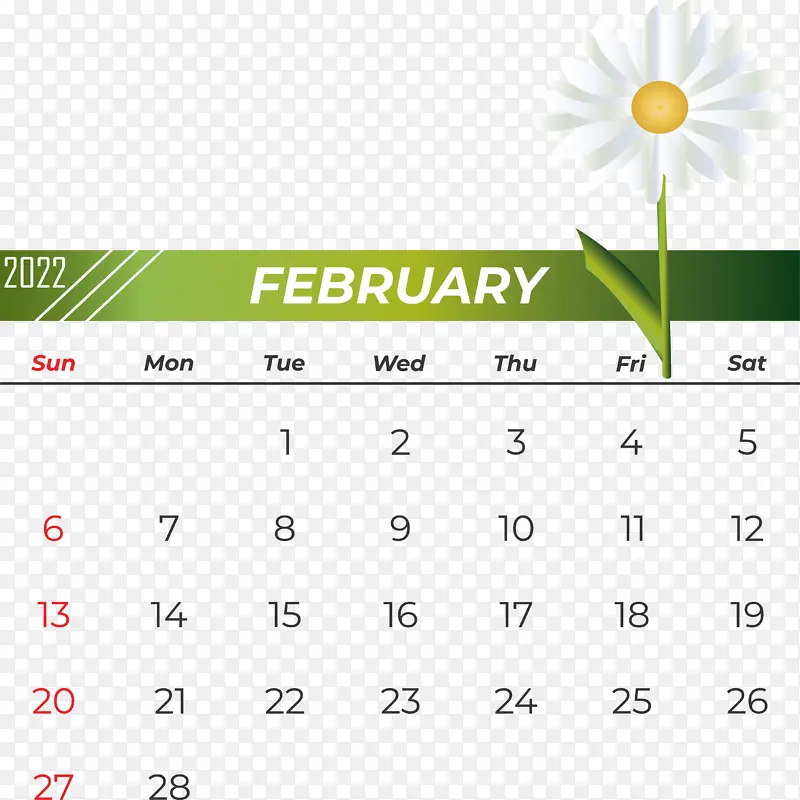 ���� ���� ��ɫ-������