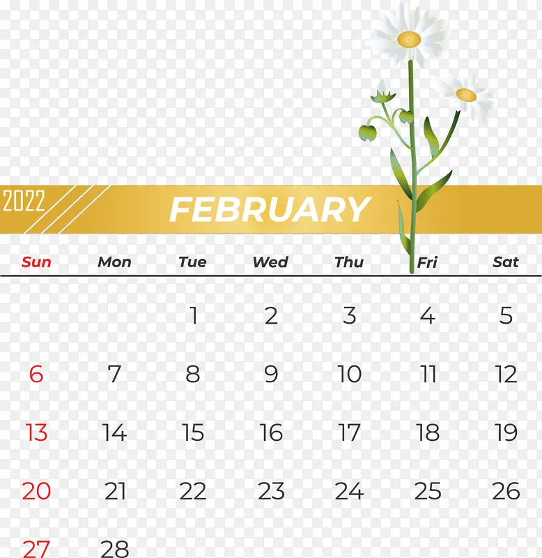 �� ���� ��ɫ-������