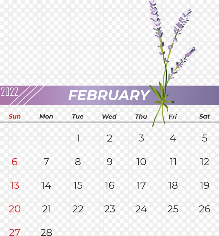 ���� ���� ��-������