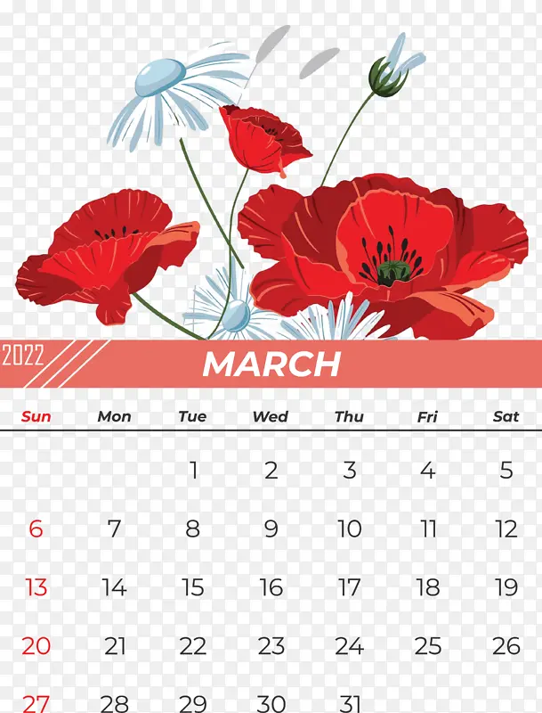 �� ֽ ��-������