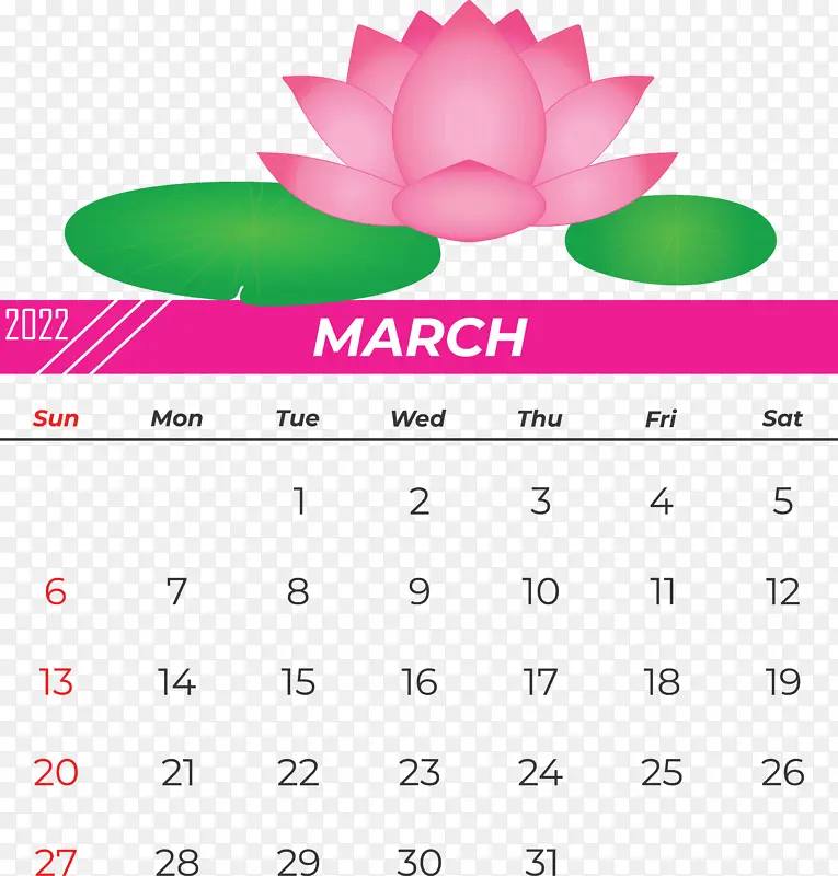 �� ���� ��-������