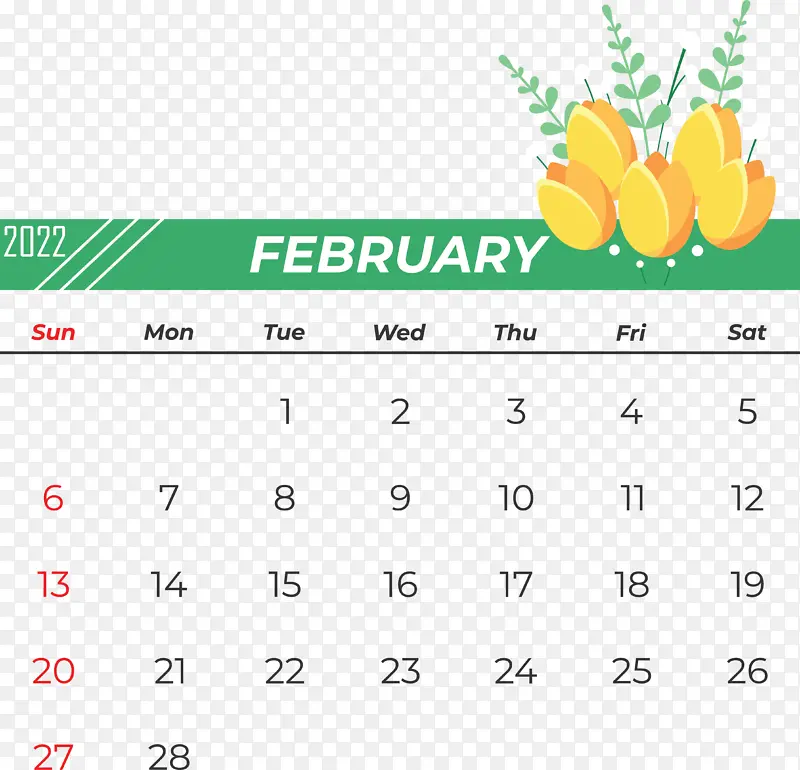 �� ���� ��-������