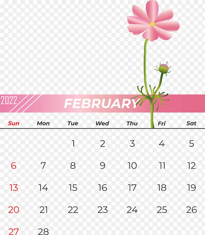 ���� �� ��-������