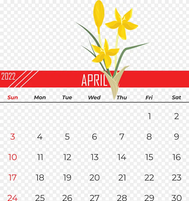 �ձ� ��ͼ ���-������