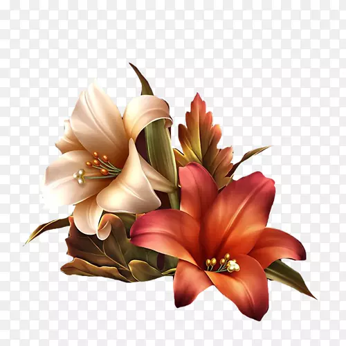 ���ܻ�԰õ�岩�ͼ�������-����-������