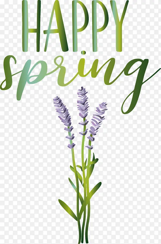 �� ֲ�ﾥ ��-������