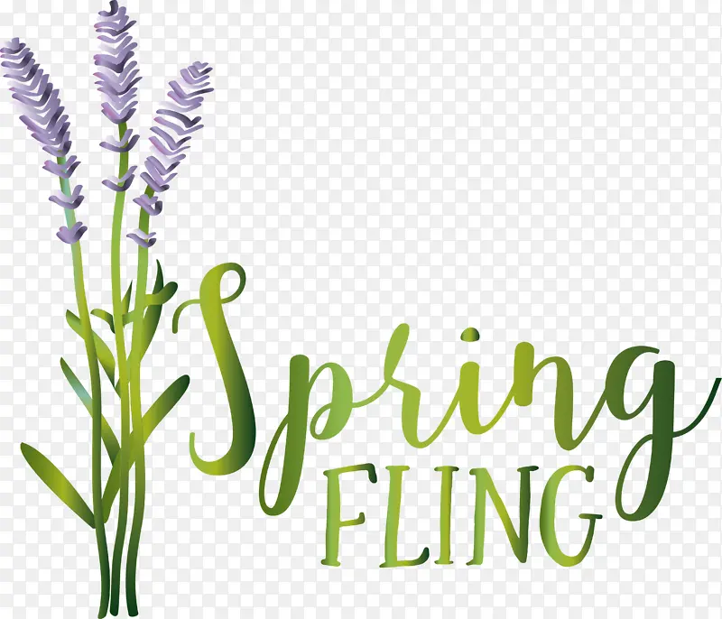 ޹�²� ���ҩ�� ��ҩ-������