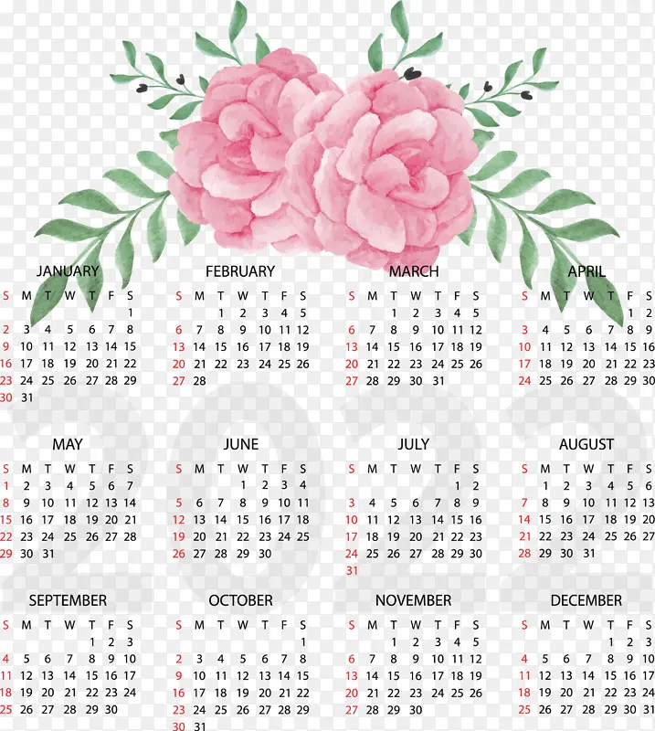 ���� ˮ�ʻ� õ��-������