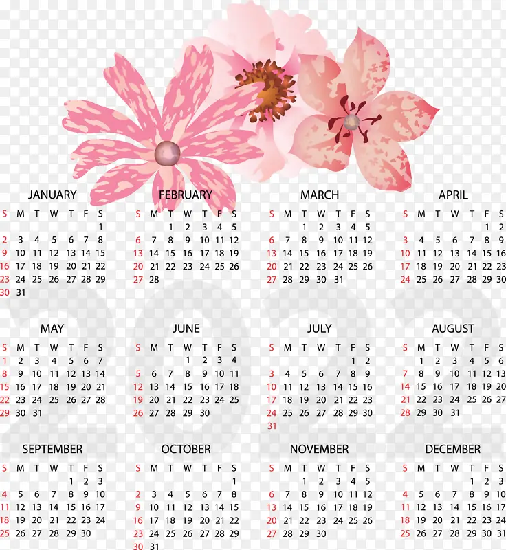 ���� �� ��-������