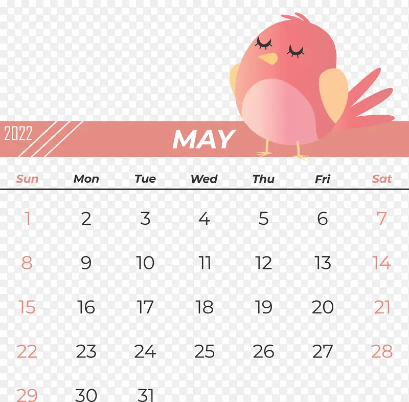 �� ���� ��-������