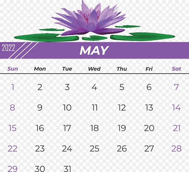 �滭 ��־-������